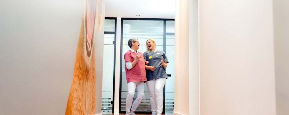 Job Zahnarzt in Lippstadt